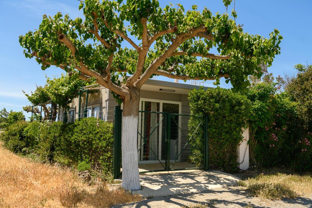 Petrakis Afrathias Garden House Villa Kalamaki  Luaran gambar